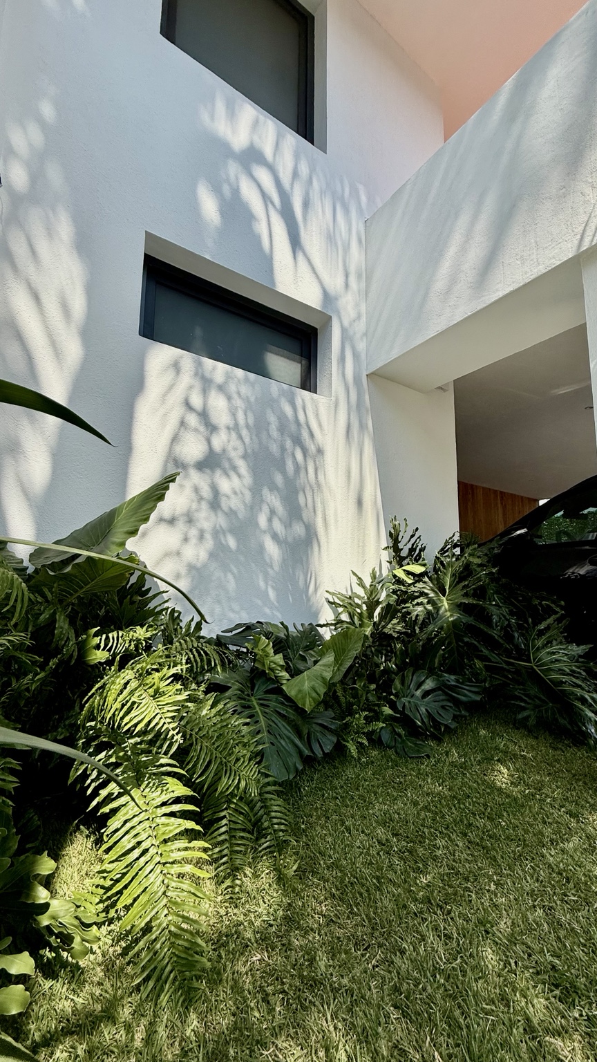 Patio residencial de muros blancos rodeado de vegetación tropical